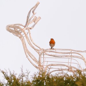 DSC 6910