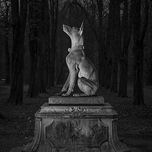 Nicht der Hund von Baskerville ;-)