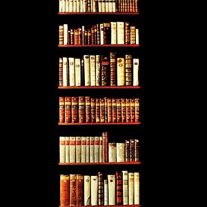 dsc2015 Bücher