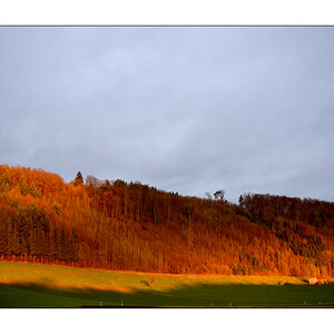 MorgenPZ1 4562