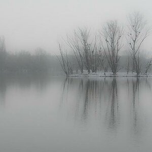 comp Am See