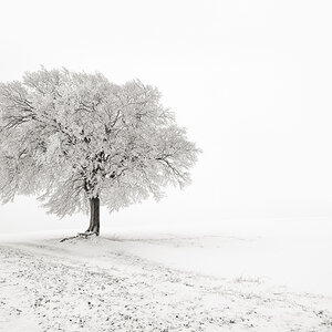 Winter in Lippe