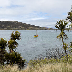 s844 CarcassIsland 9583