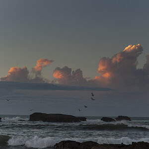 mar (73)