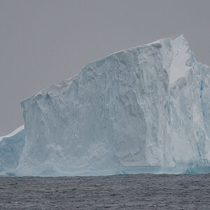 Eisberg in Antarctic Sound 5415