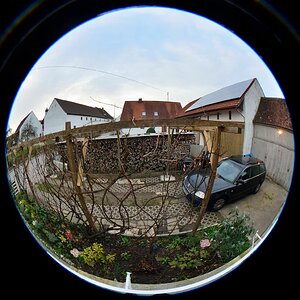 DSC 8653