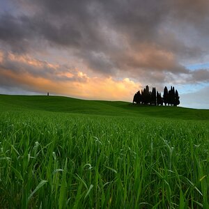 Tuscanny