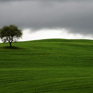 Tuscany