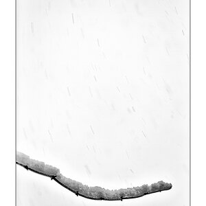 SchneePZ1 4296