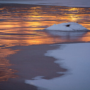 D711755