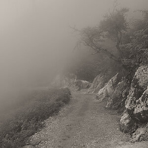 Weg im Nebel