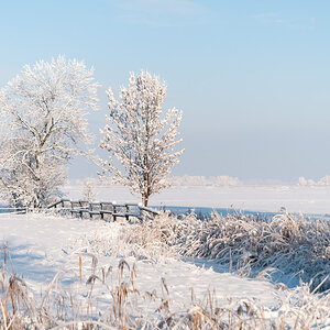 Winter in Wiemsdorf 4