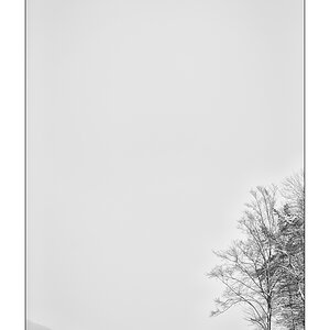 SchneePZ1 4312