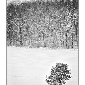SchneePZ1 4314