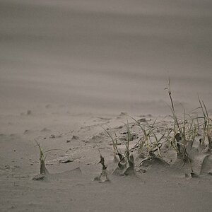 Strand SPO
