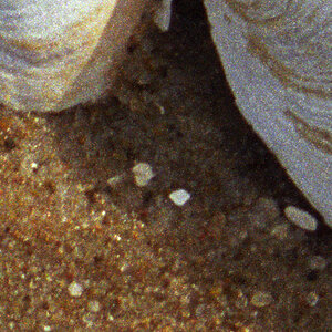 Untitled 1 crop