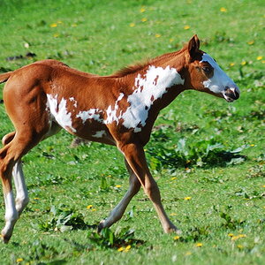 DSC 0720 bearbeitet