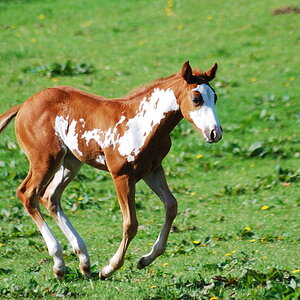 DSC 0721 bearbeitet
