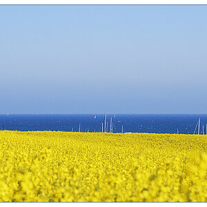 Rraps meer2