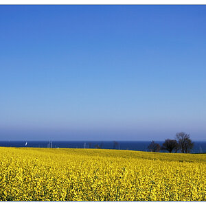 Rraps meer4