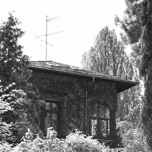 Direktion Palmengarten