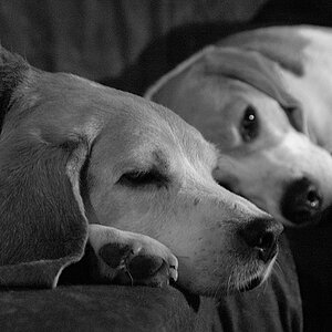 Max und Henry