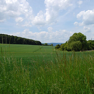 DSC 0148