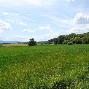 SBerg
