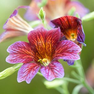 2009 04 18 0058