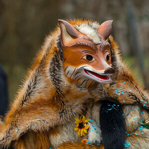 Buurefasend Hauingen 139422. Februar 2015

*sing* ... der Fuchs geht rum, der Fuchs geht rum....