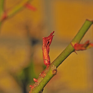7004680x