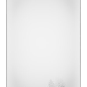 SilvPZ1 4376