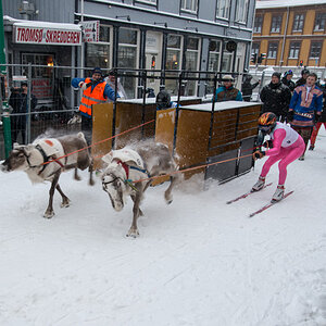 2015 Tromsö Rentierrennen 2