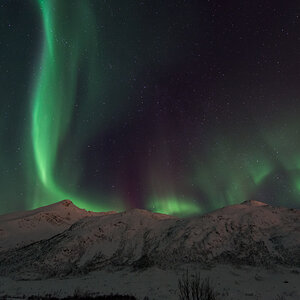 2015 Tromsö Polarlichter 24
