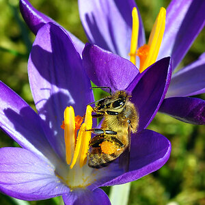 DSC 3657 Frühling