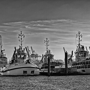 TS6,Altona,Waltershof,Tollerort 007 DxO