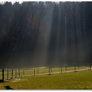 MNE 9039, 20150118
D700 Ai-S 105/2,5 SIC