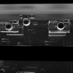 Leica Museum 16 01 2015 3