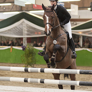 Turnier L Springen 08.02.2015 Reiterverein von Bredow Keppeln