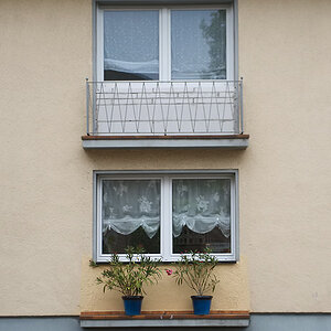 55700vorgartenidyllbunt