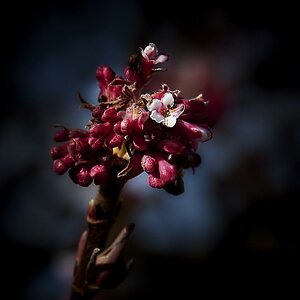 Frühling 2015