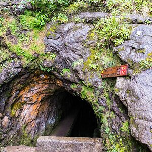 Madeira (43)