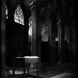 Basler Münster nachmittags