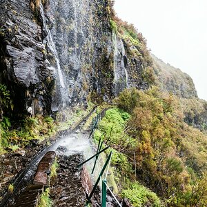 Madeira (49)