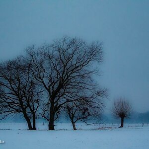 comp Blaue Stunde