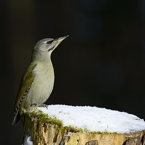 2015 01273