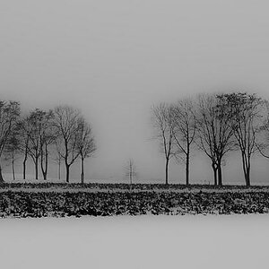 comp Winterallee sw