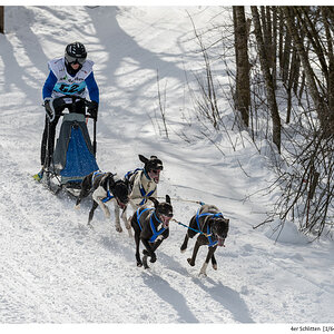 4er Schlitten 2