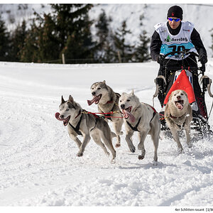 4er Schlitten rasant 2