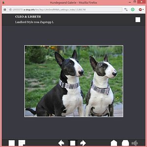 Landlord rosa I, hundegewand.at